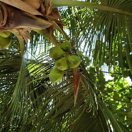 Tiwi Beach Resort & Spa Mombasa Esterno foto