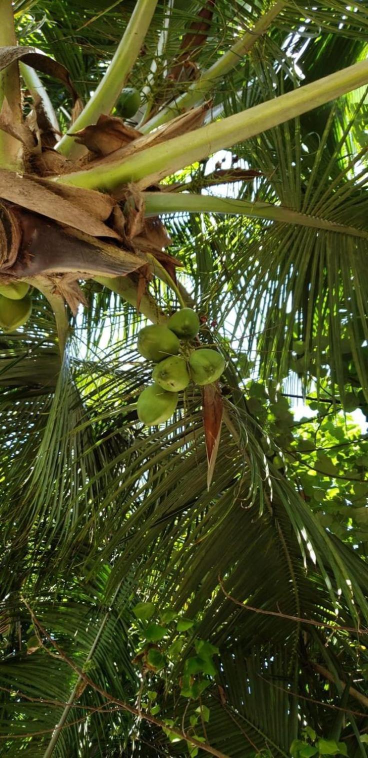 Tiwi Beach Resort & Spa Mombasa Esterno foto
